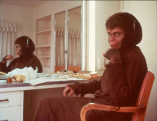 55 años de El planeta de los simios: el maquillaje que cambió la industria del cine para siempre