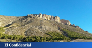 El buscador alemán que financió plantar un bosque revolucionario en Almería y, al verlo, huyó