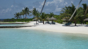 En una paradisíaca isla de las Maldivas, logran erradicar los mosquitos sin el uso de productos químicos