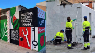 “Nadie me ha pedido permiso para borrar el mural por Palestina de mi casa”