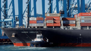El gigante naviero danés Maersk detiene todos los envíos de contenedores a través del Mar Rojo