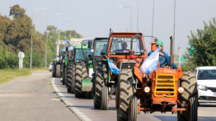 Milei enoja a los agricultores y ganaderos argentinos al subir los impuestos a las exportaciones