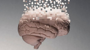 Cómo el cerebro humano se "reconfigura" a partir de los 40 años (y cómo mantenerlo saludable a esa edad)