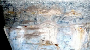 Arte rupestre descubierto en Madagascar apunta a conexiones con el antiguo Egipto y Borneo [ENG]