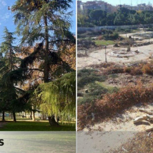 El antes y el después de las talas en Carabanchel y Arganzuela por las obras de Metro: “Es un atentado ecológico”