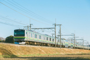 Japón tenía un problema con los atropellos ferroviarios de ciervos. Así que creó trenes que ladran