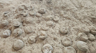 Tres fósiles de huevos de dinosaurio cristalizados hallados en China
