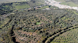 Localizado en Cáceres un enclave militar romano construido sobre un asentamiento indígena