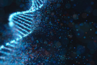 Desarrollan un interruptor para activar y desactivar genes: un paso hacia una terapia génica más segura