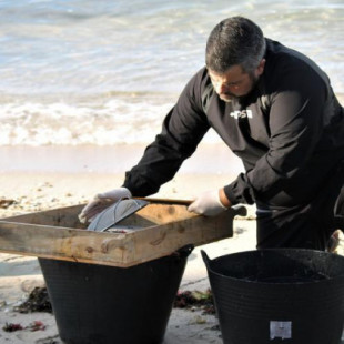 Los voluntarios comienzan a llegar a las playas para limpiar la marea plástica