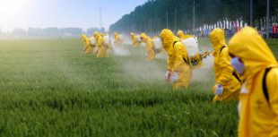 Pesticidas y párkinson: una conexión fuera de toda duda