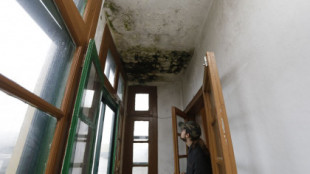 El piso de estudiantes de Santiago que asusta: «El problema no son los ratones o las termitas, sino las humedades del salón, al que ya no vamos»