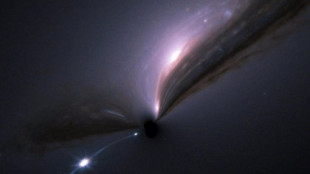 El telescopio James Webb descubre el agujero negro más antiguo jamás observado