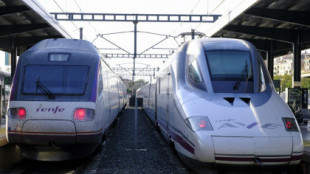 Las cuentas del tren de alta velocidad no le salen a España
