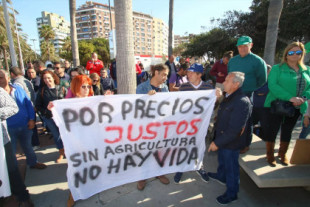 Los 40.000 trabajadores de los invernaderos de Almería llevan nueve años sin convenio ni mejoras laborales