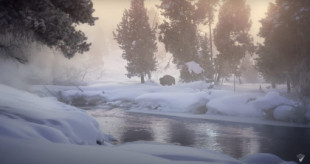 Sobreviviendo en Yellowstone a 38 grados bajo cero, el espectacular corto que sigue el invierno congelado de los animales