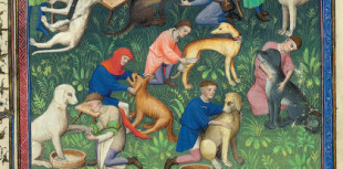 Perros en la Edad Media: lo que nos dicen los escritos medievales sobre las mascotas de nuestros antepasados (ENG)