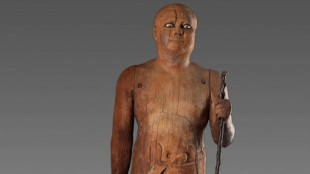 La estatua de madera de Kaaper, una de las más realistas del Antiguo Egipto