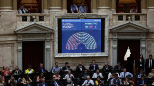 El Congreso de Argentina aprueba la 'Ley ómnibus' impulsada por Javier Milei