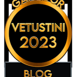 ¡Premio Vetustini al mejor blog!