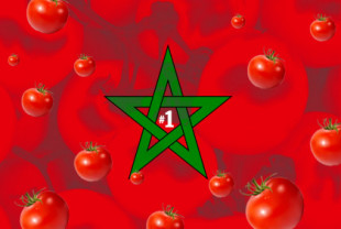 La política agraria de la UE con Marruecos abocará a España a ser importador de tomates (noticia de octubre)