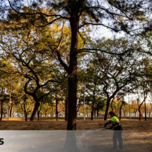 Barcelona se lanza día y noche a regar manualmente sus árboles para salvarlos de la sequía