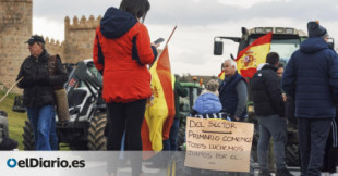 Radiografía de la agricultura en España: los gigantes del sector ganan más y las pequeñas explotaciones luchan por sobrevivir