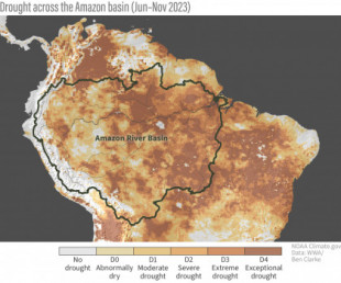 La actual sequía récord en el Amazonas puede ser una señal de un "punto de no retorno" en la vasta cuenca