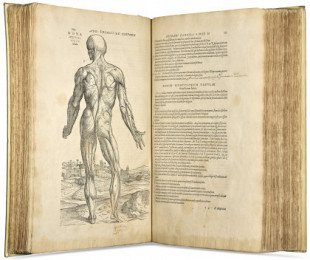 Un libro de anatomía del Renacimiento alcanza los 2,2 millones de dólares en subasta [ENG]