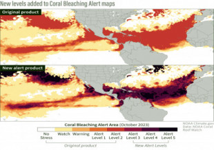 La NOAA amplía la escala de alerta en sus mapas tras el estrés por calor extremo de los corales en 2023