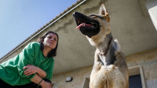 Paca, la perra que sobrevivió tras cinco días atrapada en un lazo de acero en el monte