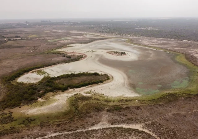 Los científicos demuestran que el expolio del acuífero es lo que explica la degradación de Doñana