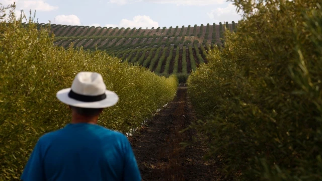 La agricultura consume el 80% del agua en la España de las sequías