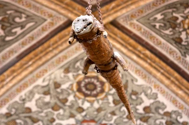 Las iglesias italianas que cuelgan cocodrilos encadenados del techo