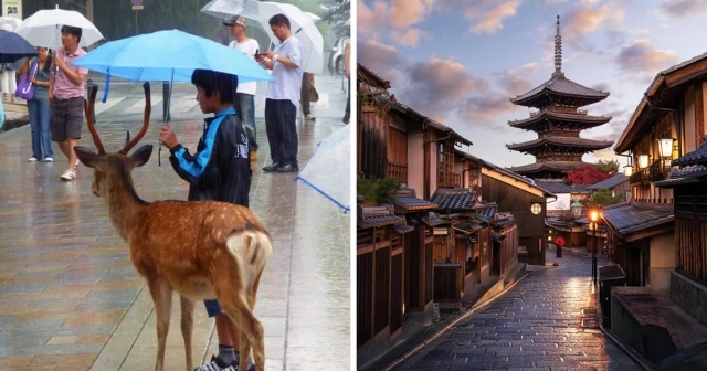 Fotos interesantes que muestran por qué Japón es diferente del resto del mundo [ENG]