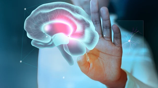 Hombres y mujeres sí somos distintos: un estudio con Inteligencia Artificial apunta a diferencias cerebrales