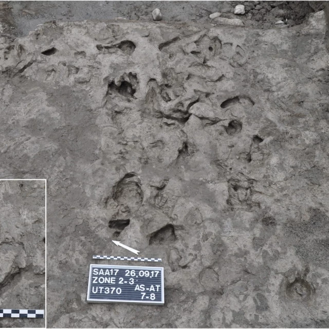 Descubiertas las marcas de arado más antiguas de Europa, que atestiguan el uso de animales en la agricultura hace 7000 años