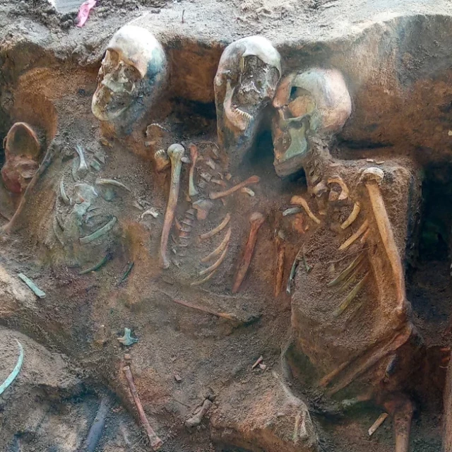 Encuentran una fosa común con 1.000 esqueletos en Alemania y podría ser la más grande en Europa
