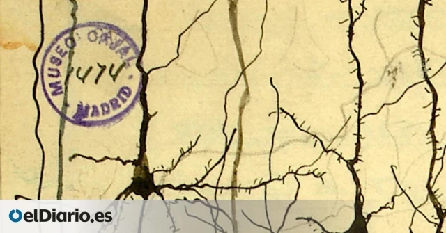 ¿Aberrante o necesario? La historia del feo sello azul que salvó los dibujos de Ramón y Cajal