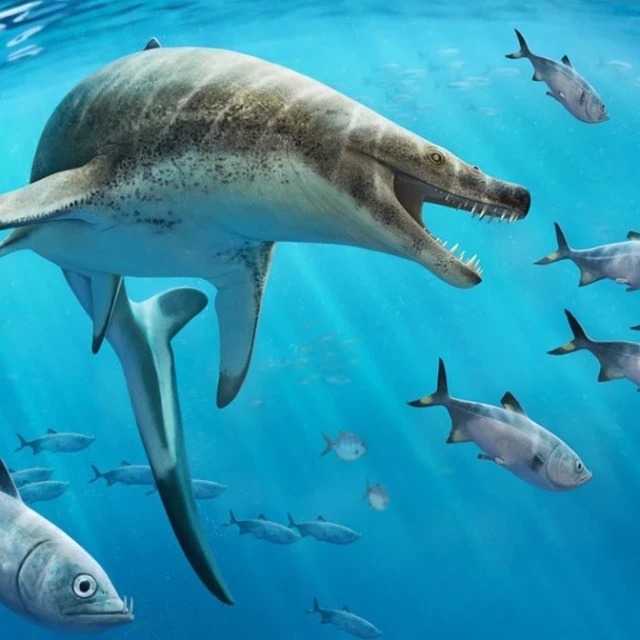Descubren en mina de Marruecos un monstruo marino de la época de los dinosaurios
