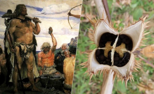 Hace 3.000 años: ya sabemos qué sustancia consumían los europeos prehistóricos para sus ritos chamánicos