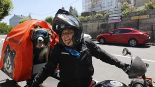 Una madrileña descubrió que se puede viajar en moto con perro gracias a un gallego y ahora recorre España con Toffee