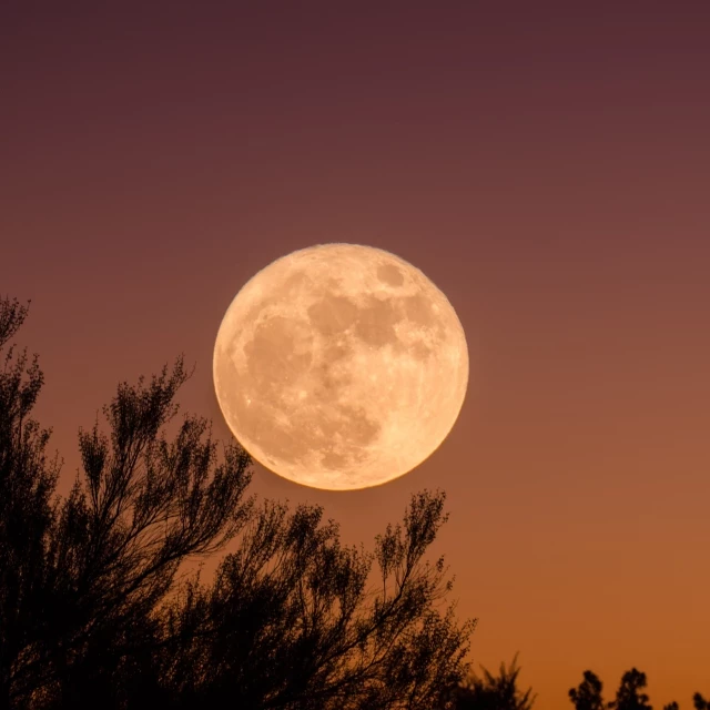 Luna rosa: ¡así será la primera luna llena de abril!