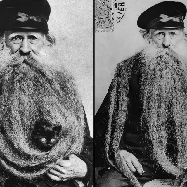 Retratos únicos de Louis Coulon: conocido por su barba de  3,35 metros, que usó como nido para sus amados gatos