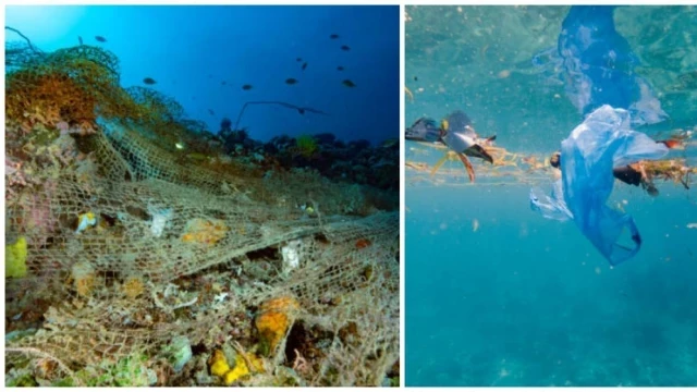 Hasta 11 millones de toneladas de plástico cubren el fondo marino, según estudio