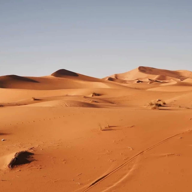 Grupos de riesgo deben evitar actividades exteriores por el polvo sahariano