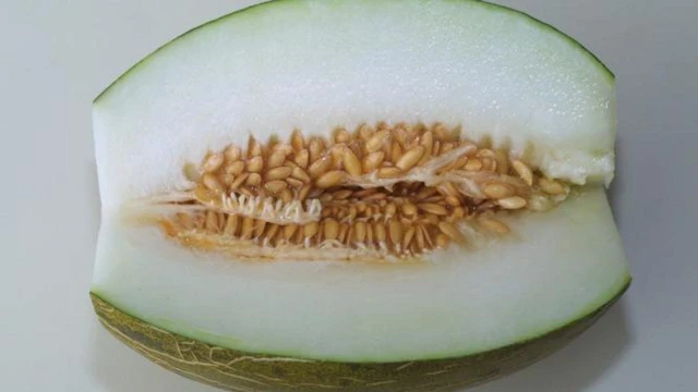 Alerta alimentaria en España por unos melones procedentes de Marruecos