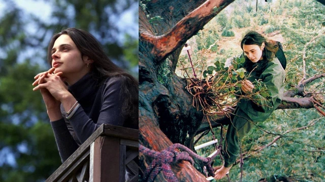 Julia Hill: La mujer que vivió 2 años sobre un árbol de 55 metros de alto para salvar un bosque de más de mil años