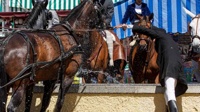 Muere el primer caballo en la Feria de Sevilla de 2024 como consecuencia de un infarto