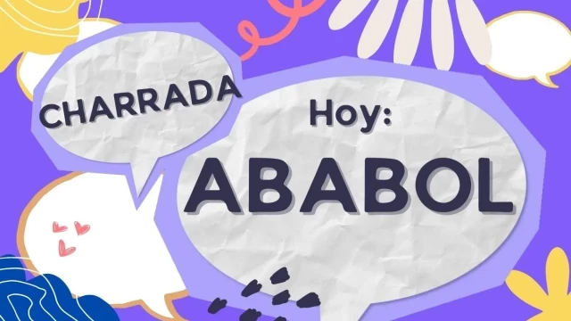 ¿Por qué se utiliza 'ababol' como insulto? Conoce el origen y el significado